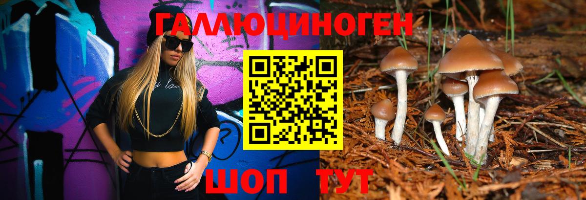 Псилоцибиновые грибы MAGIC MUSHROOMS Волгодонск